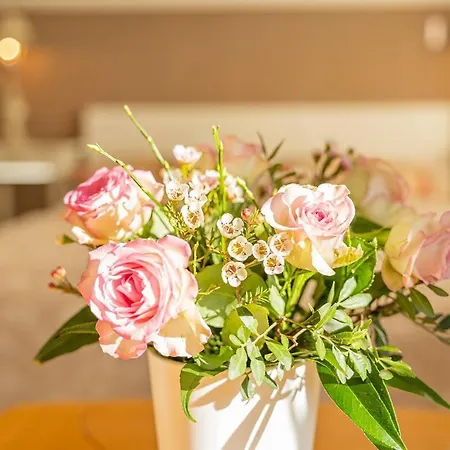 2 Im Eg Haus Stranddistel, Geschmackvoll Eingerichtete Fur 2 Personen In * Zingst